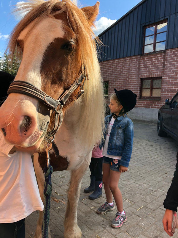 debruynhoeve