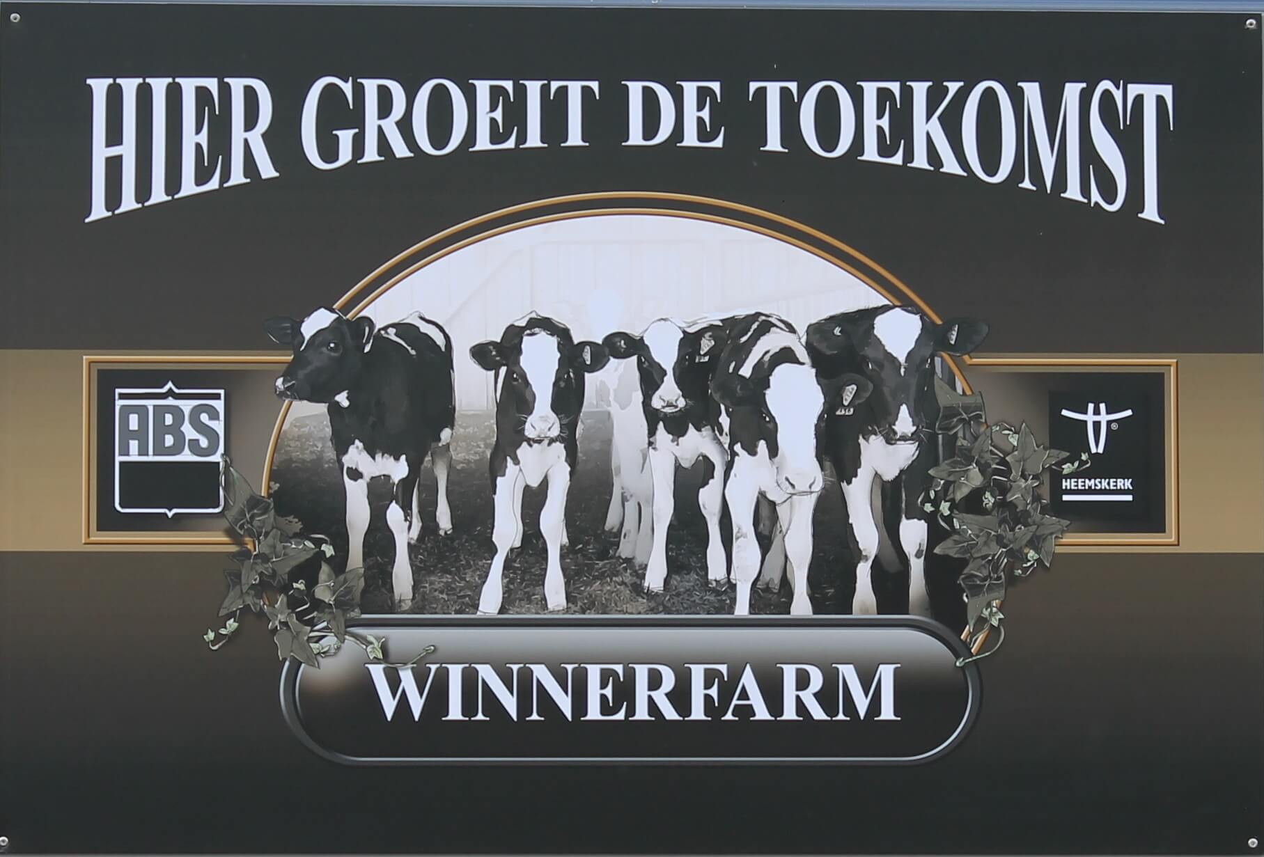 Winnerfarm Maes