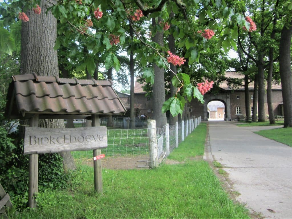 binkelhoeve