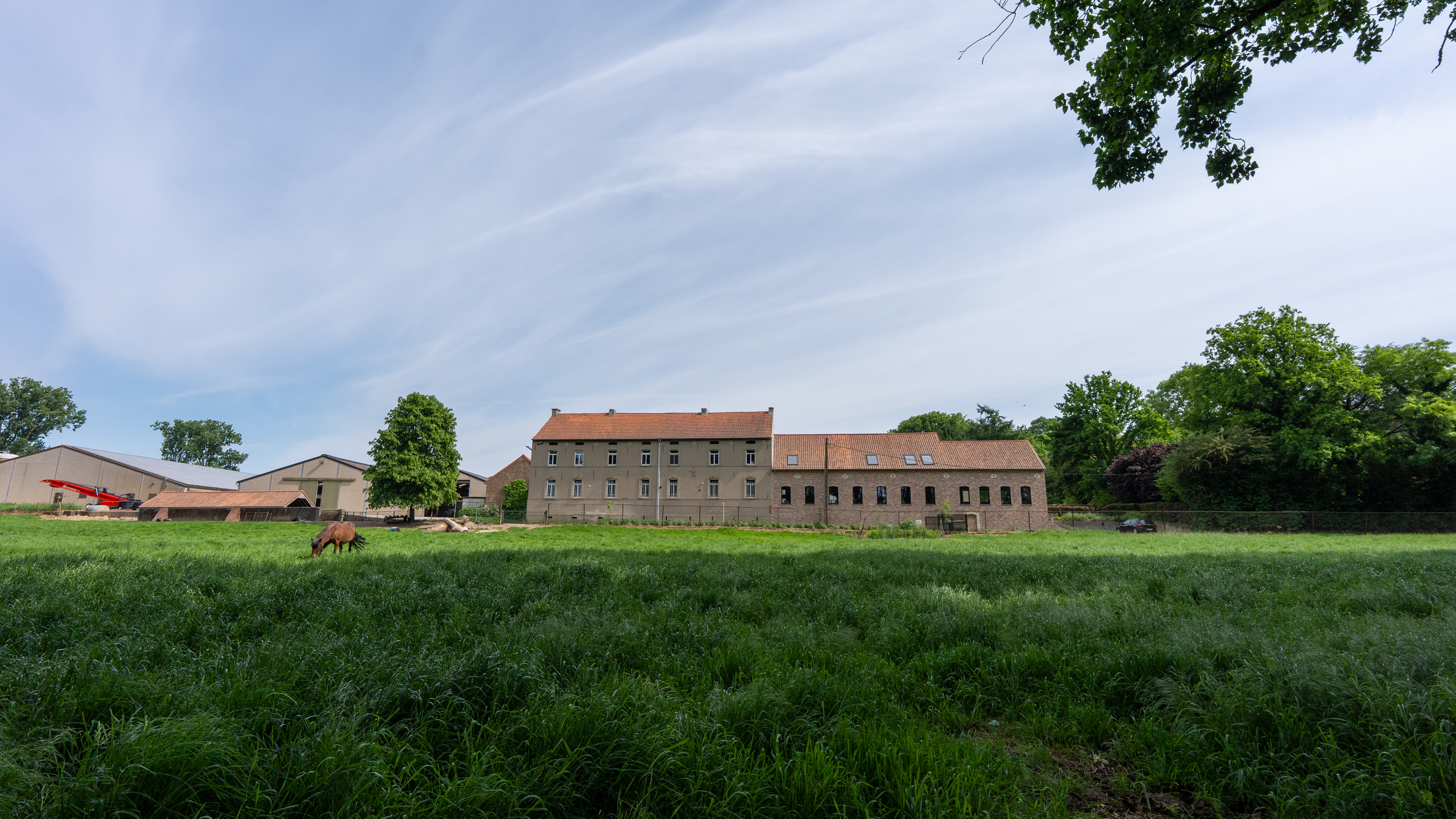 Redingenhof