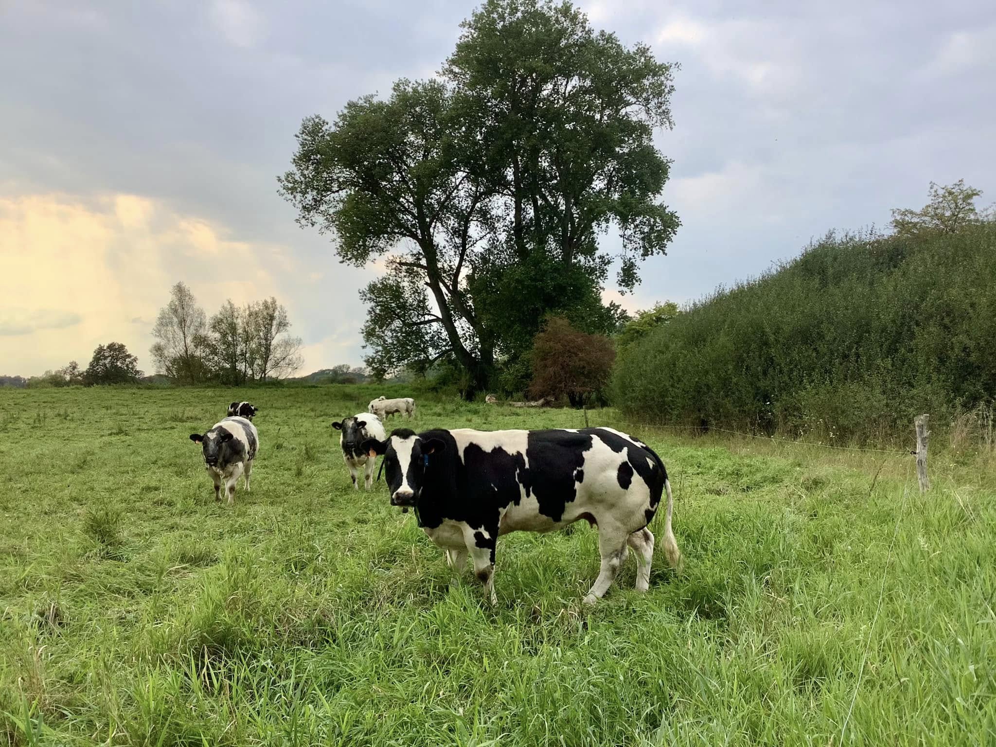 Hoeve ter Hees
