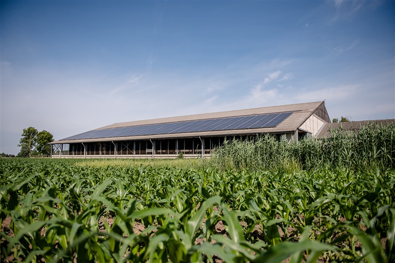 Hof ter Galeien_zonnepanelen