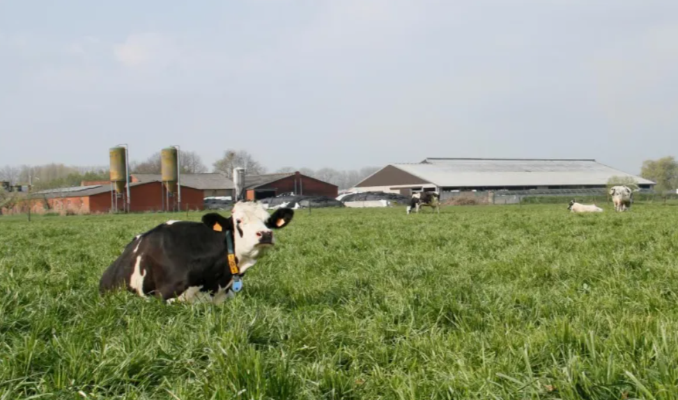 Hoeve Ten Eeckhoutte_4