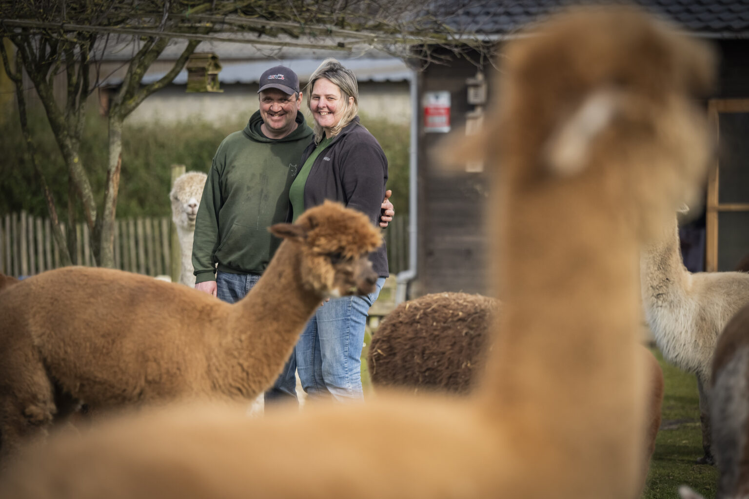Alpacalokeren
