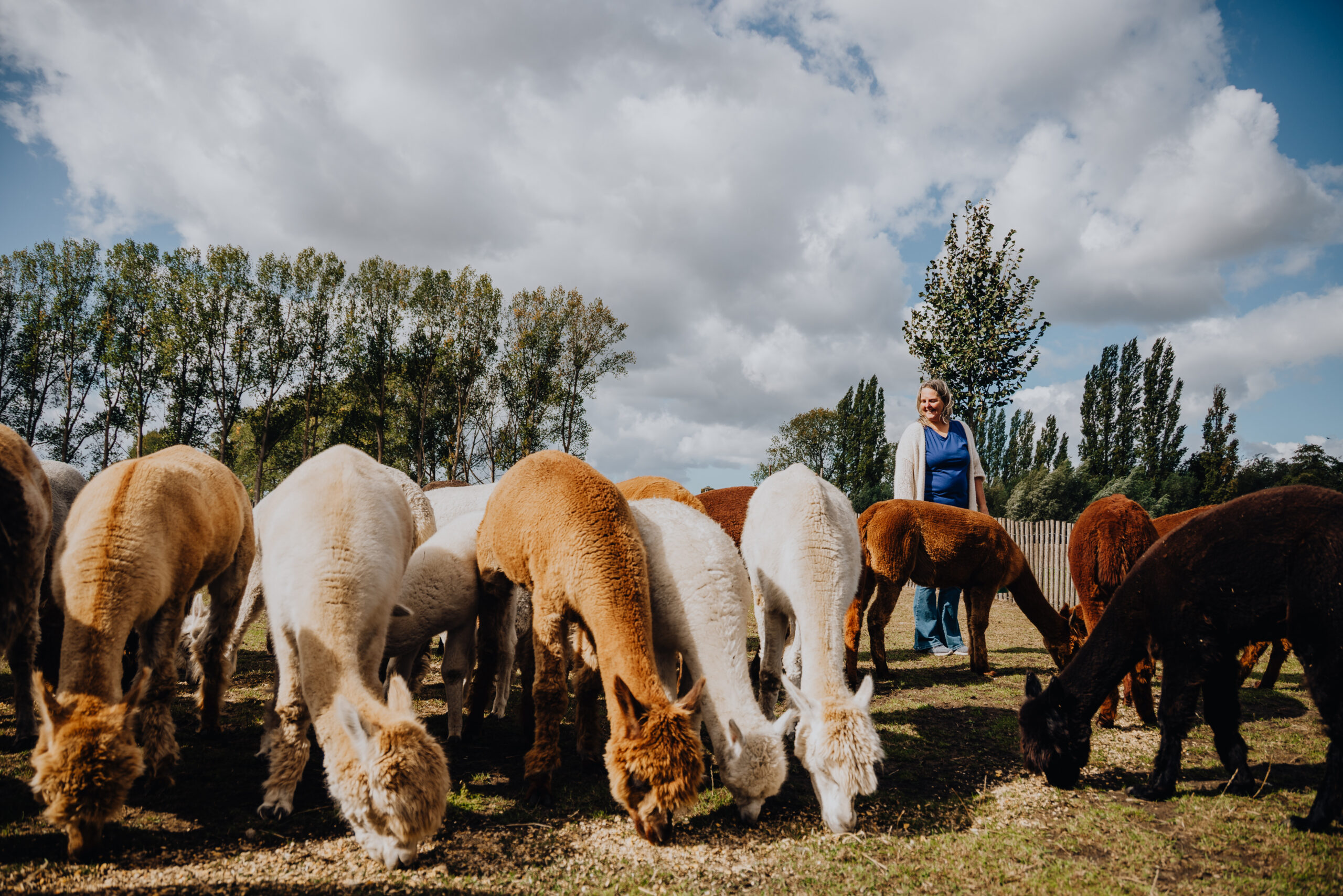 Alpacalokeren