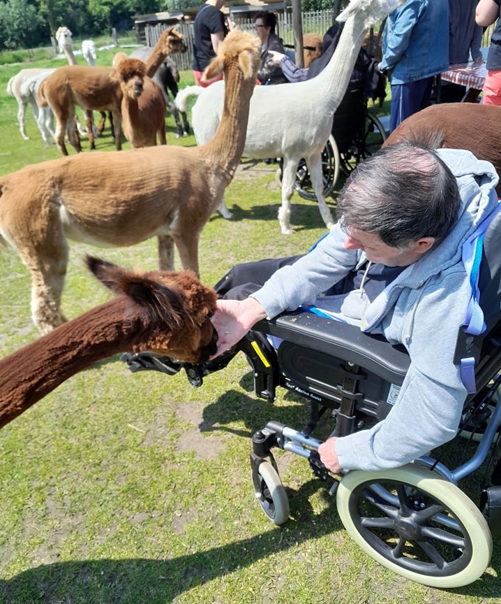 Alpacalokeren