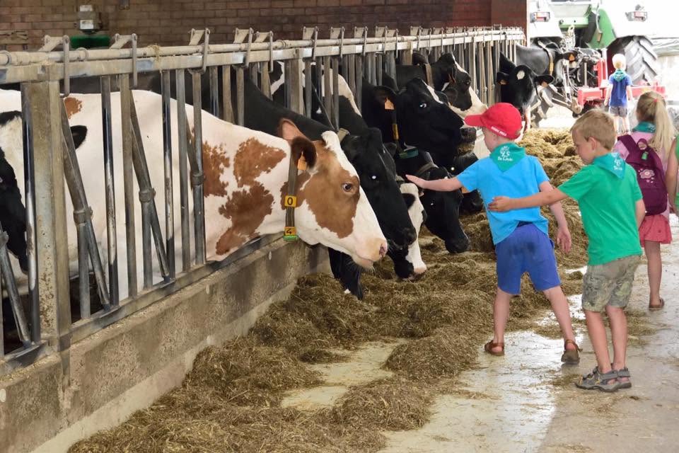 Melkautomaat Achterbroek